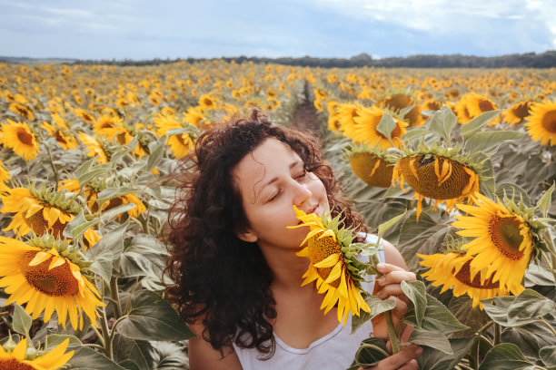向日葵田里的女孩图片下载