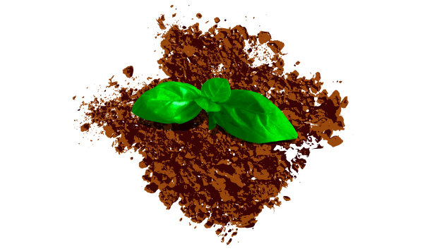 有植物的地面矢量图。世界土壤日图片下载