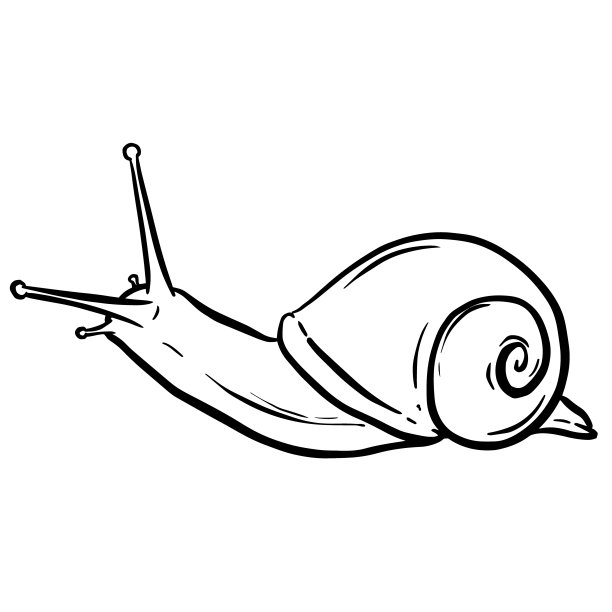 线艺术轮廓的花园蜗牛与壳的标志或吉祥物设计在矢量插画图片下载