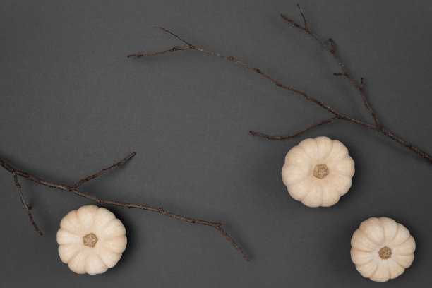 万圣节背景有黑色的蝙蝠，蜘蛛，橙色的南瓜和星星。现代节日设计。万圣节派对的边界是白色的。平铺，俯视图，复制空间。感恩节装饰。图片下载