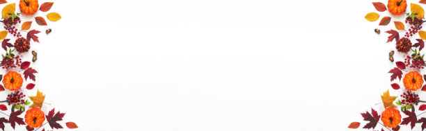 树叶和南瓜在明亮的背景，从上面看。为不同的目的设计。图片下载