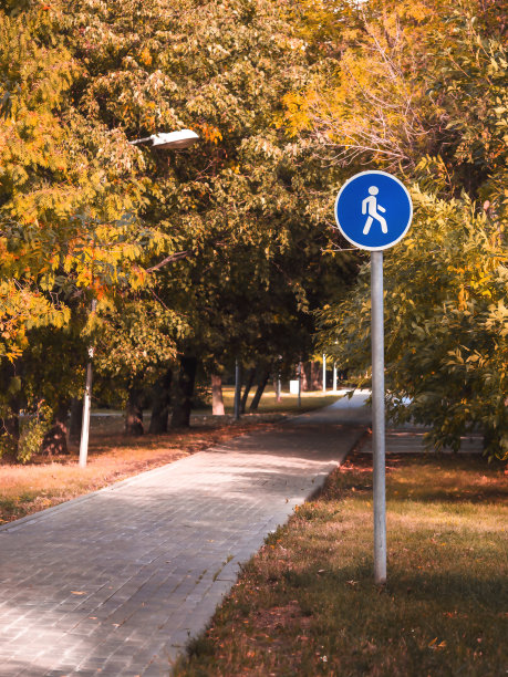 公园里的小路，人行道的标志。图片下载