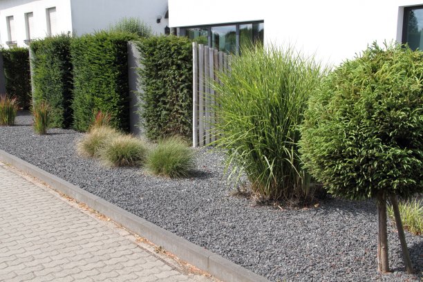 有石头和植物的现代前院图片下载