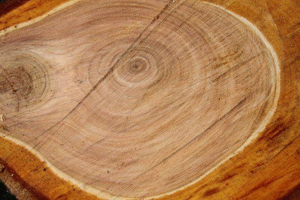 片的木头图片下载