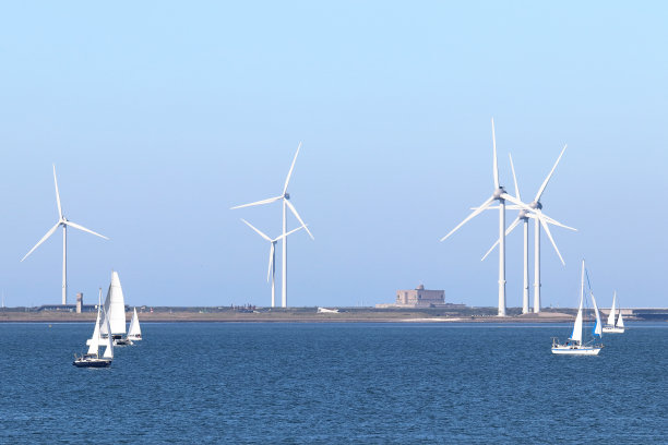 位于荷兰泽兰的东部Scheldt自然保护区图片下载