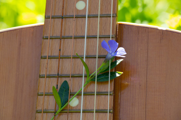 春天的草地上，躺着一把棕色的旧木吉他图片下载