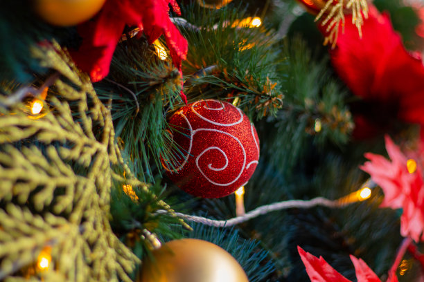 街道上的圣诞树作为背景特写图片下载