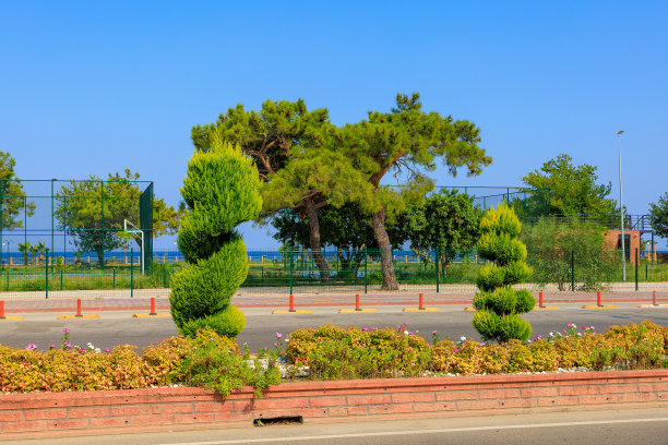 道路分隔线上的花坛。带有复制空间的背景图片下载