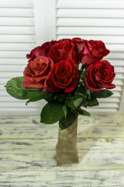 照片红色，粉色，紫色的玫瑰图片下载