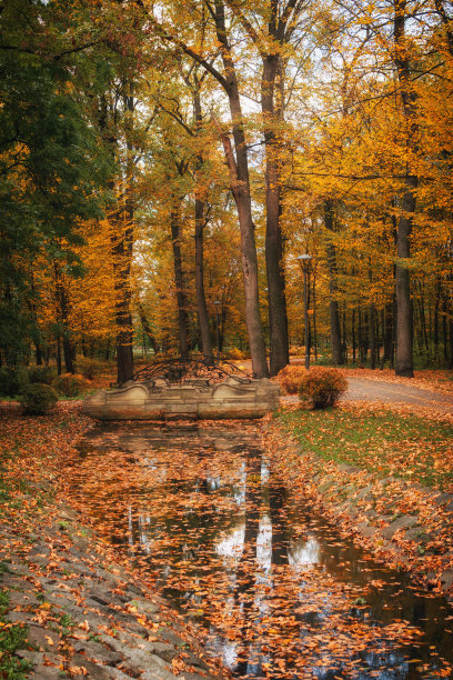 园景观，秋景或秋景图片下载