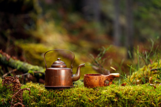 古色古香的铜制水壶和木制马克杯放在茂密的秋天森林里长满苔藓的树干上。图片下载