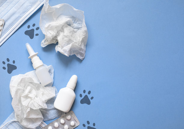 犬类宠物过敏平用胶囊、片剂、防护口罩、流鼻涕、瘙痒等问题。图片下载