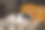 猫在床上晒太阳在阳光下的形状点图片下载