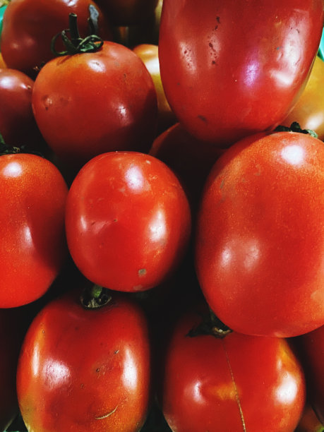 西红柿图片下载