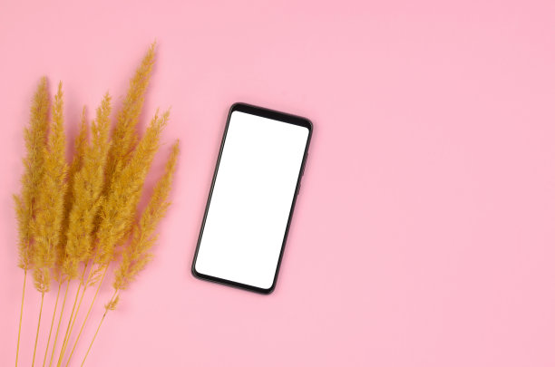 粉色背景的智能手机模型。空白祝贺或广告图片下载