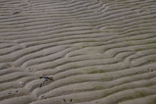 湿抽象沙图案为背景图片下载