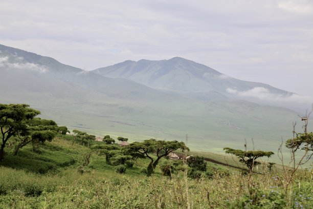 坦桑尼亚恩戈罗恩戈罗保护区绿色景观中的村庄屋顶。图片下载