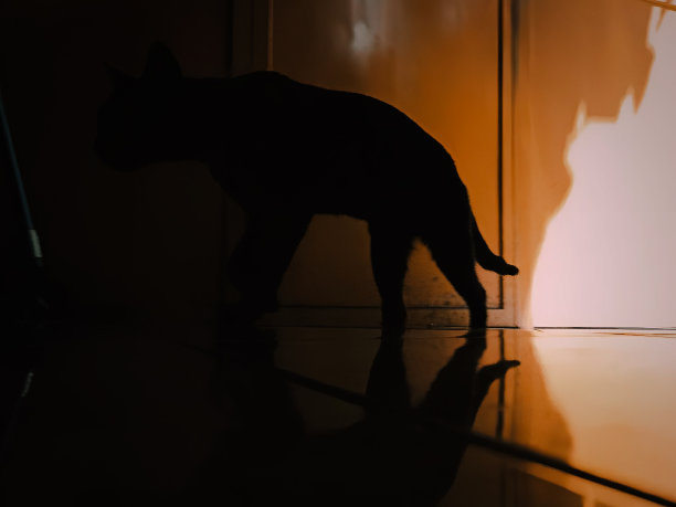 在他出去寻找自己梦想的路上-4图片下载