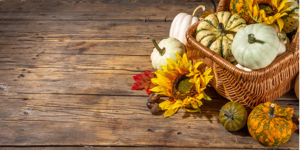 秋天南瓜背景图片下载
