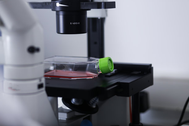 细胞培养图片下载