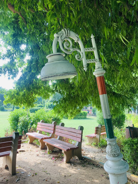 美丽的花园景观，印度门图片下载