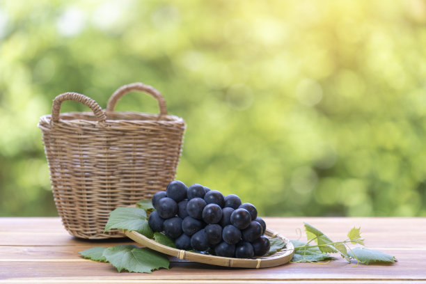 一束黑葡萄竹篮在模糊的花园背景，新鲜Kyoho葡萄在自然农场背景图片下载