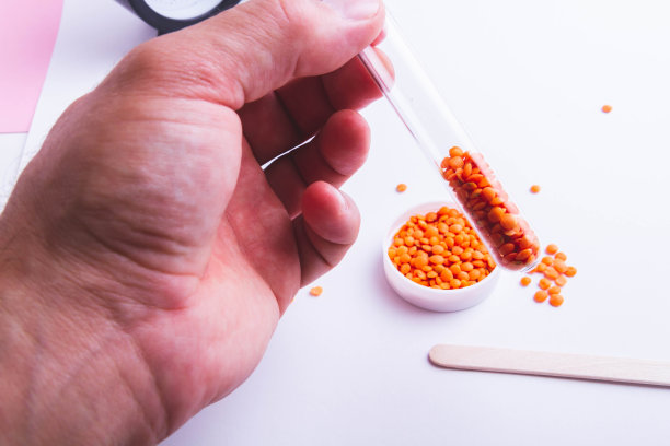 科学家检查种子。检查植物是否有病害。播种前的种子检查。图片下载