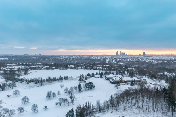 鸟瞰大多伦多地区的住宅区，伍德布里奇，加拿大图片下载