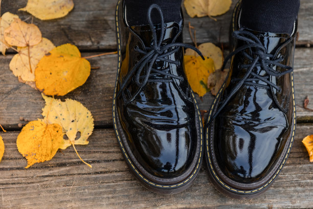 黑色的鞋子在秋天的背景与黄色的树叶。时尚鞋，秋季时尚，秋季销售概念。图片下载