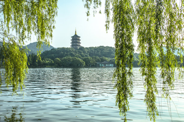 夏季西湖上的雷峰塔和西湖周围的柳树图片下载