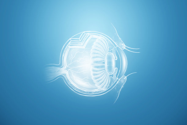 逼真的人眼全息图，横切面，侧视图。医疗保健概念，视力，导管，整骨，激光眼科手术。3D插图，3D渲染图片下载