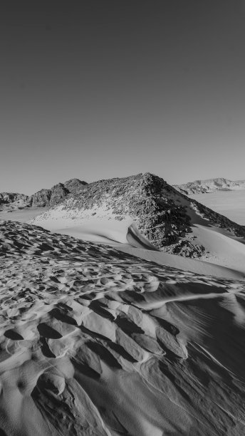 大德朗姆酒图片下载