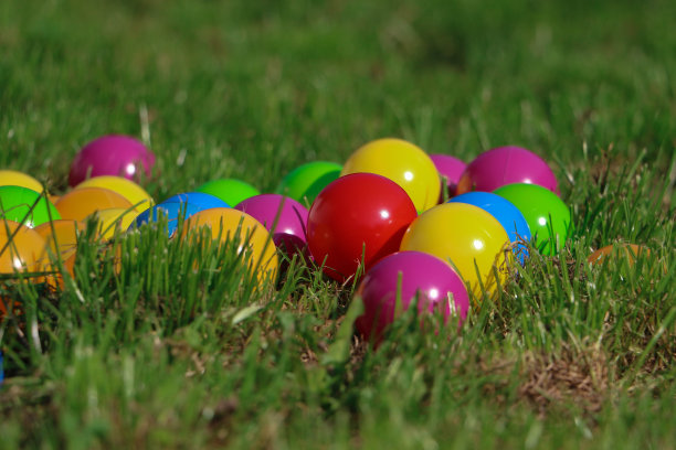 一堆五颜六色的塑料球躺在花园里图片下载