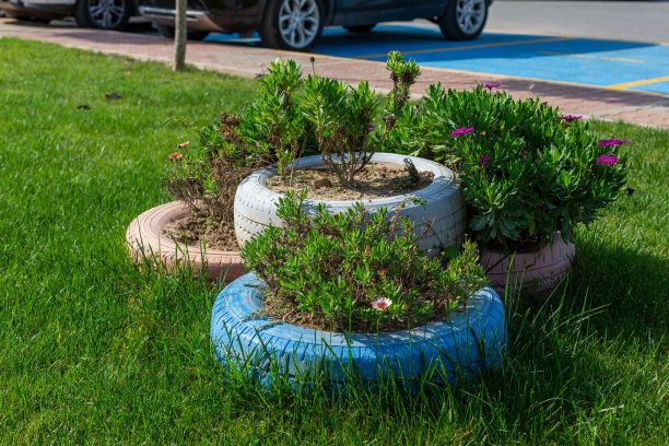 用旧汽车轮胎做的花盆图片下载