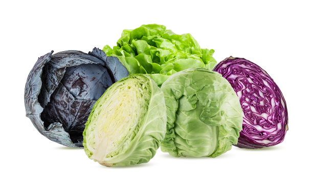 白菜孤立在白色背景与修剪路径图片下载
