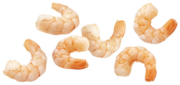 掉落的虾孤立在白色背景上图片下载