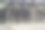 鹅的牛图片下载