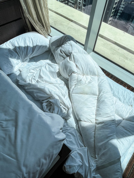 早晨的阳光图片下载