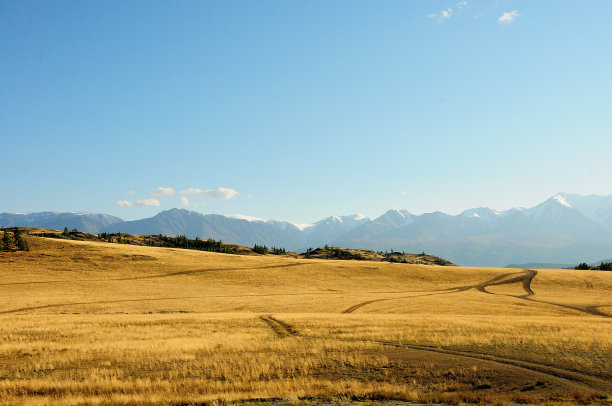 秋天的草原，以雪山为背景的田野道路网络。图片下载