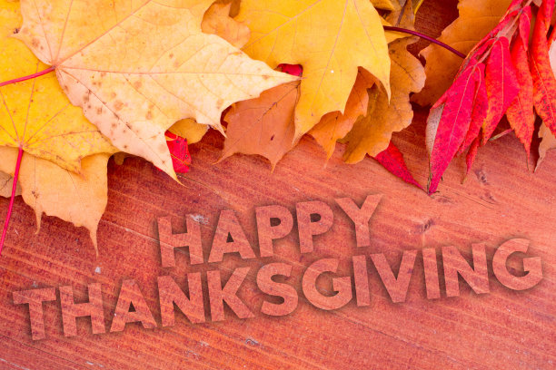 秋叶，物带感恩文。图案自然，色彩设计。图片下载