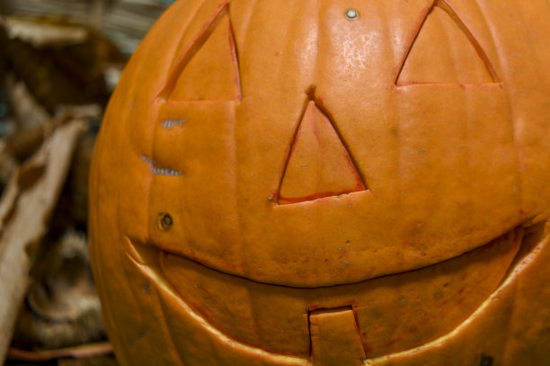 南瓜灯图片下载