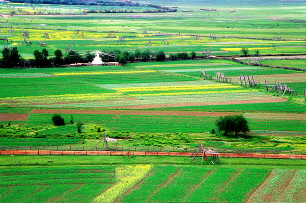 夏日香格里拉的绿野图片下载