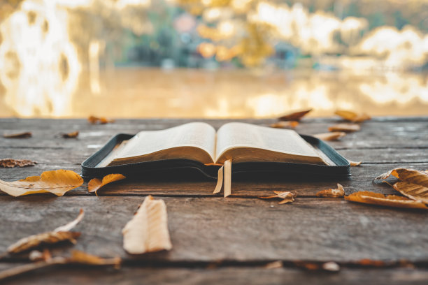 在户外自然背景的木板上打开书图片下载