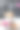 小狗铁丝毛杰克罗素梗正在洗澡。图片下载
