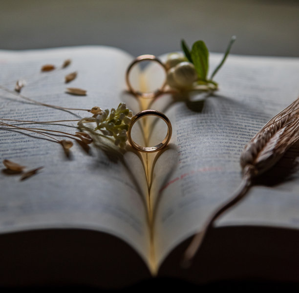 婚礼组成与结婚戒指图片下载