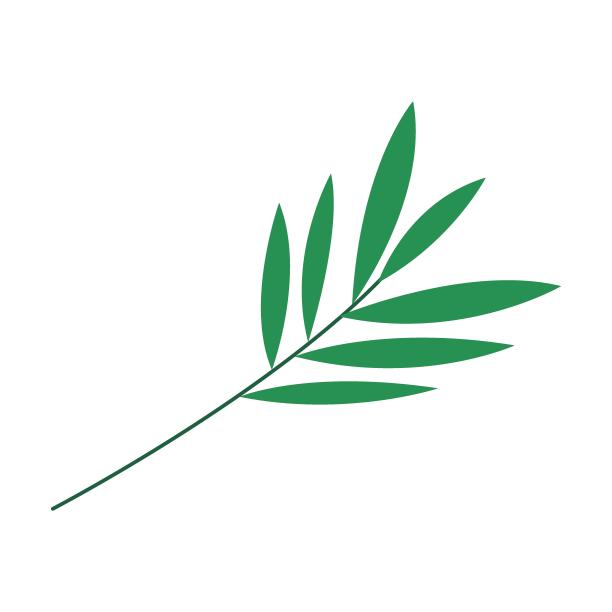 护肤温泉桉树枝，产品美容皮肤和头发。化妆品瓶的矢量插图。卡通乳液霜孤立在白色图片下载