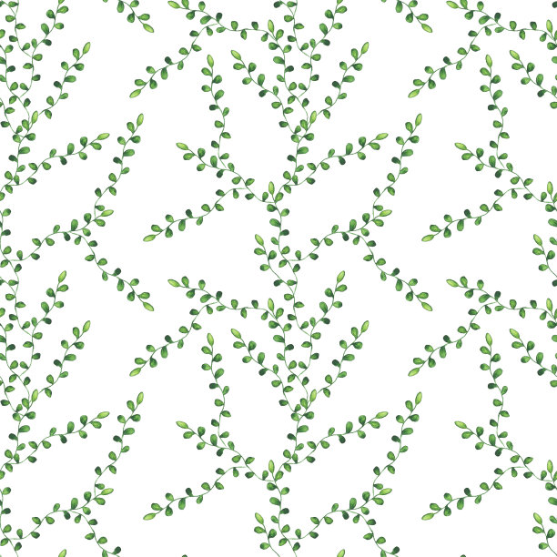 水彩画的绿叶无缝图案白色背景。手绘插图墙纸，纺织品，重复纹理。图片下载