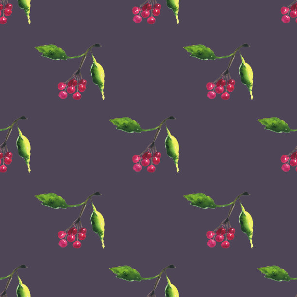 红色的抽象浆果在树枝上与绿色的叶子在李子背景无缝的模式。水彩手绘插图。湿水彩画风格。适用于数码纸，印刷，纺织，墙纸图片下载