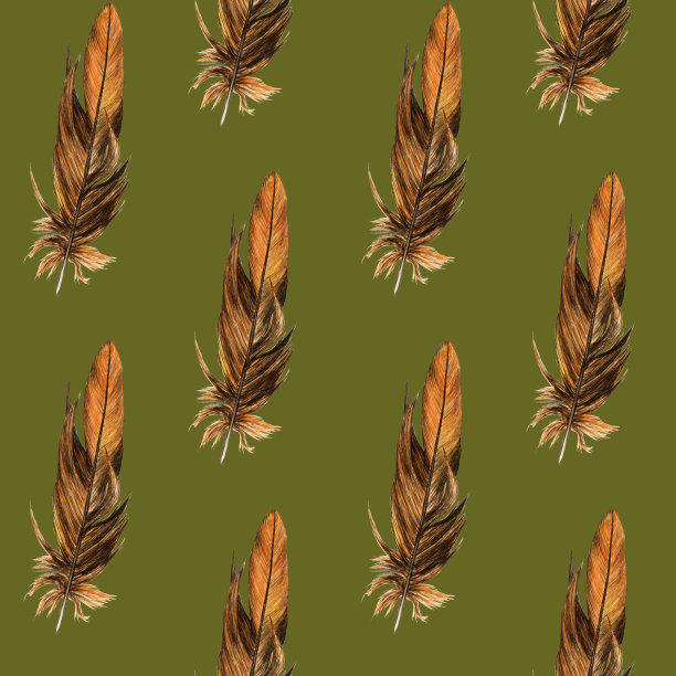 绿色背景上棕色羽毛的无缝图案。水彩手绘插图。逼真的画风羽为墙纸，重复纹理，纺织。图片下载