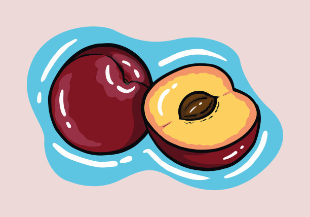 手绘Damson李子平面设计剪辑艺术矢量插图孤立的背景图片下载